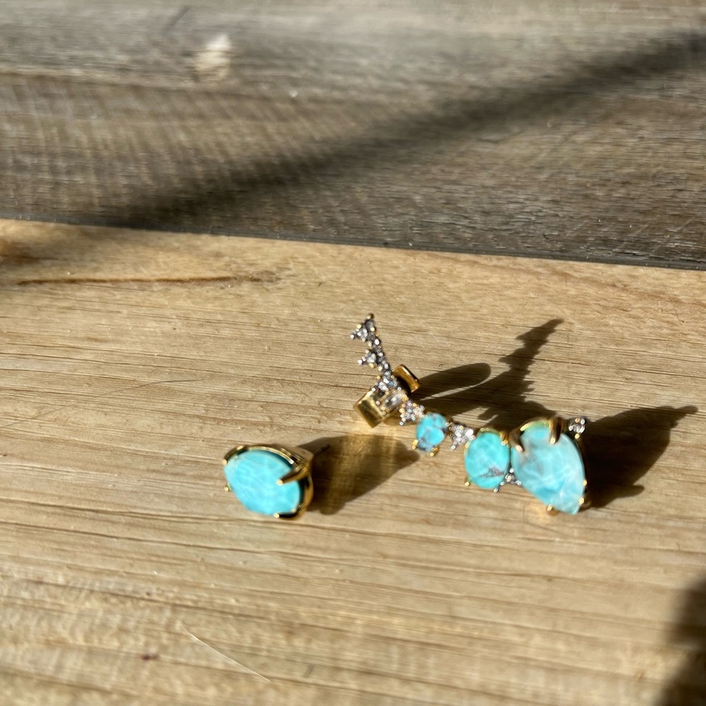 Alexis Bittar ear cuff set
